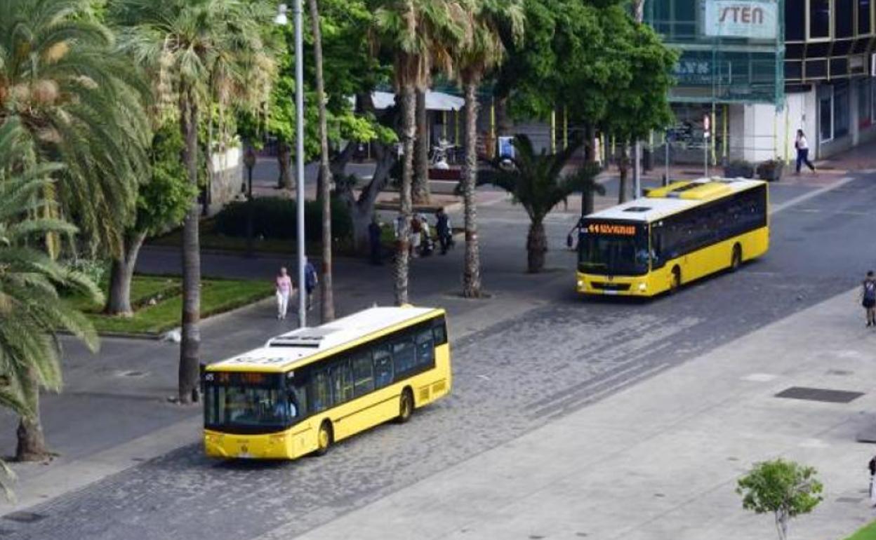 Dos guaguas municipales en la capital grancanaria.