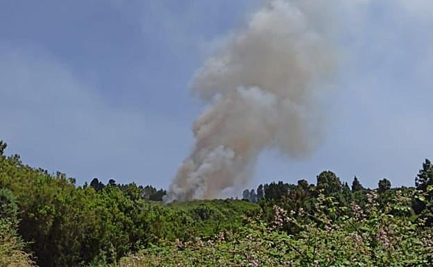 Controlado el conato de incendio en Los Realejos