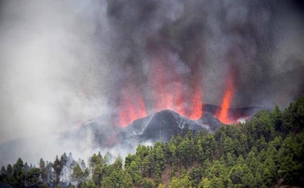 Encuesta: ¿Dónde cree que debe situarse la sede principal del Centro Nacional de Vulcanología, en Tenerife o en La Palma?