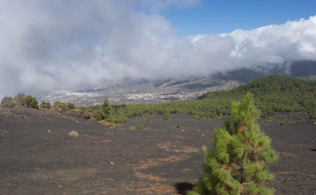 Imagen de archivo de las vistas del volcán. 