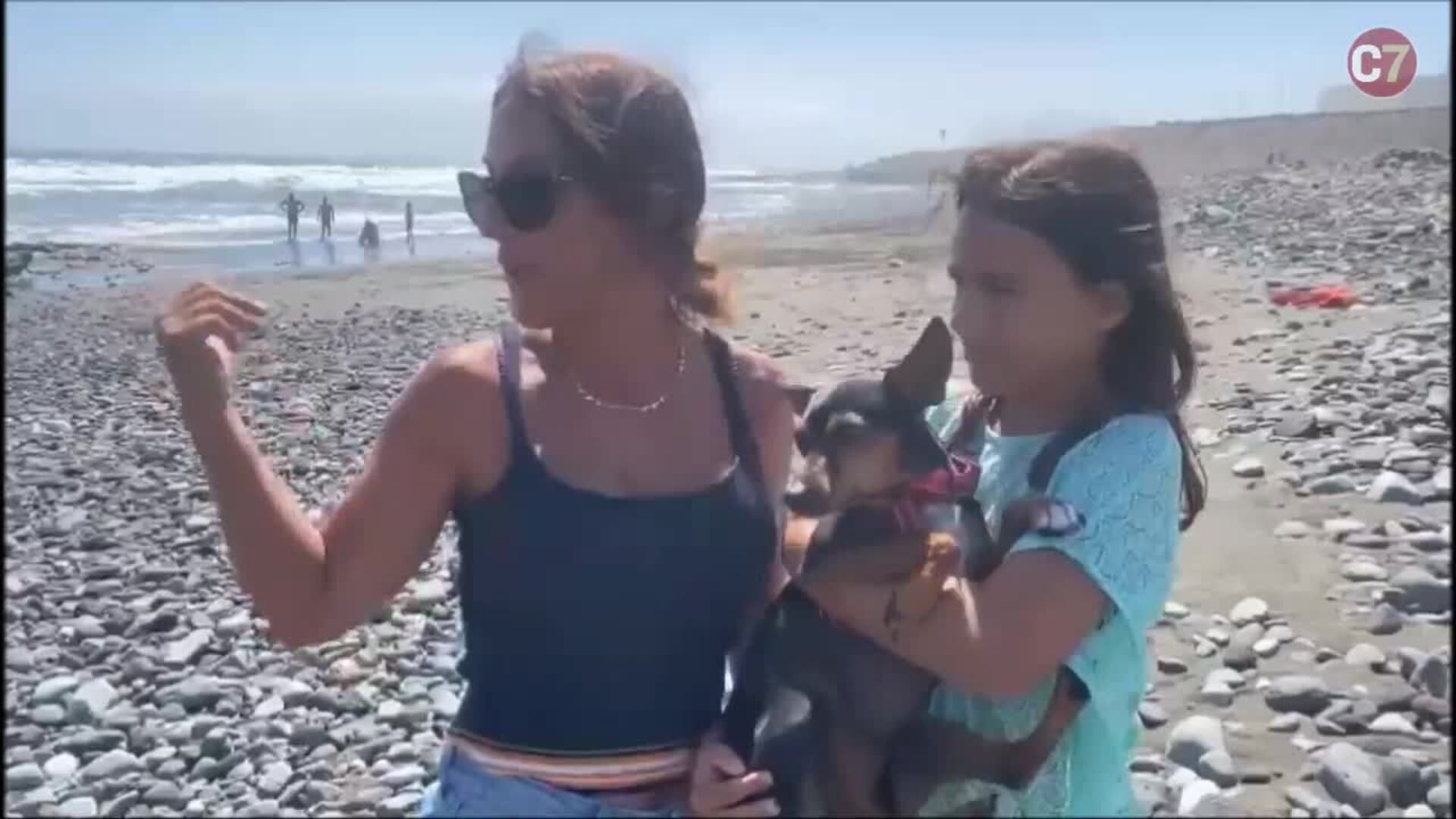 Las mascotas y sus dueños solicitan más playas perrunas en toda la isla