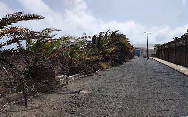 La foto muestra el mal estado del acceso trasero a San Juan de Dios, con socavones y gravilla.