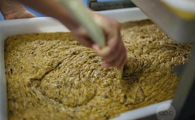 Elaboración de la masa. 