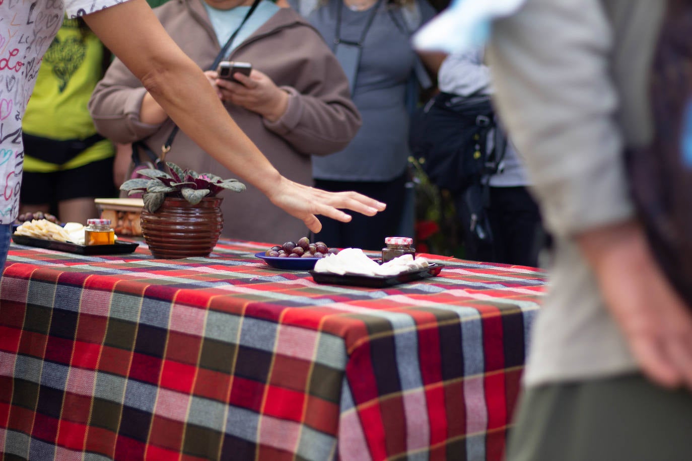 Fotos: Arrancó la 10ª edición del Bioagaete Cultural Solidario