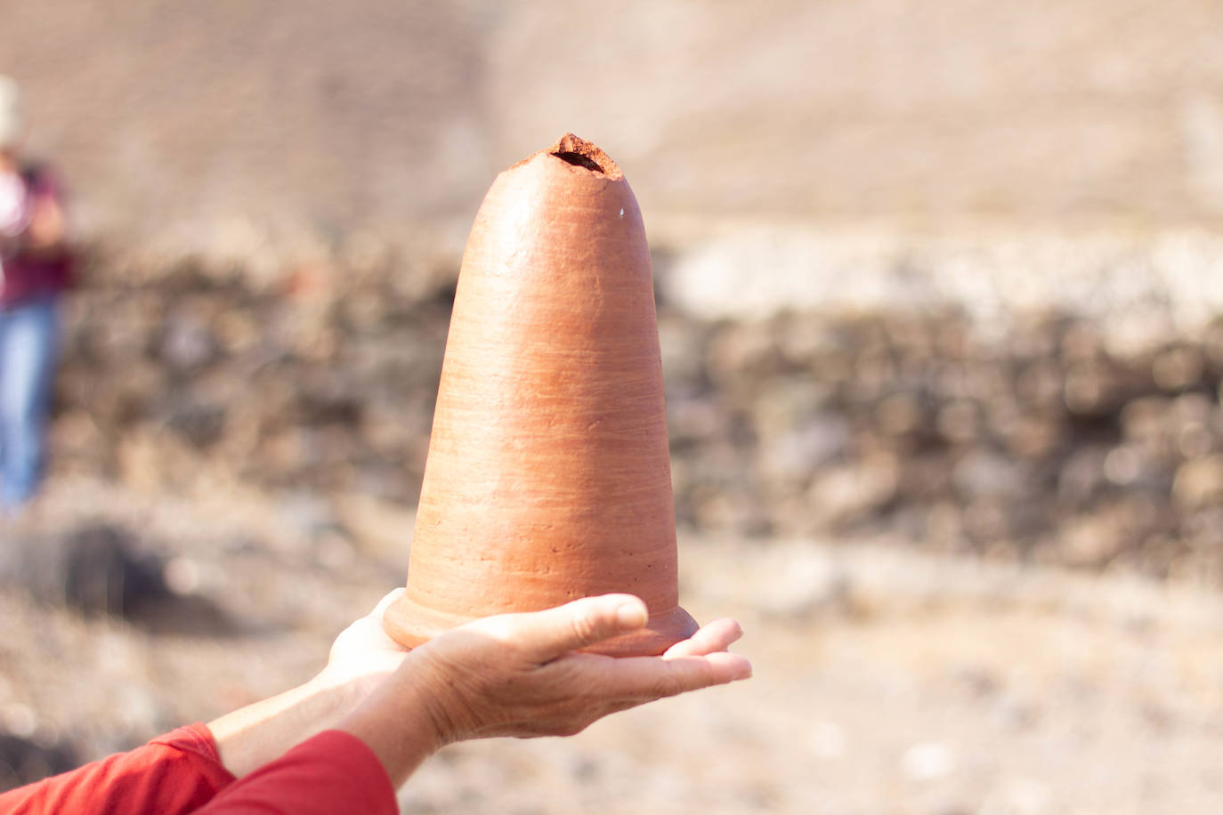Fotos: Arrancó la 10ª edición del Bioagaete Cultural Solidario