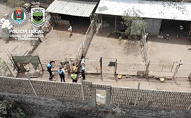 Imágenes de la inspección de la UMEC de la Policía Local a la finca. 