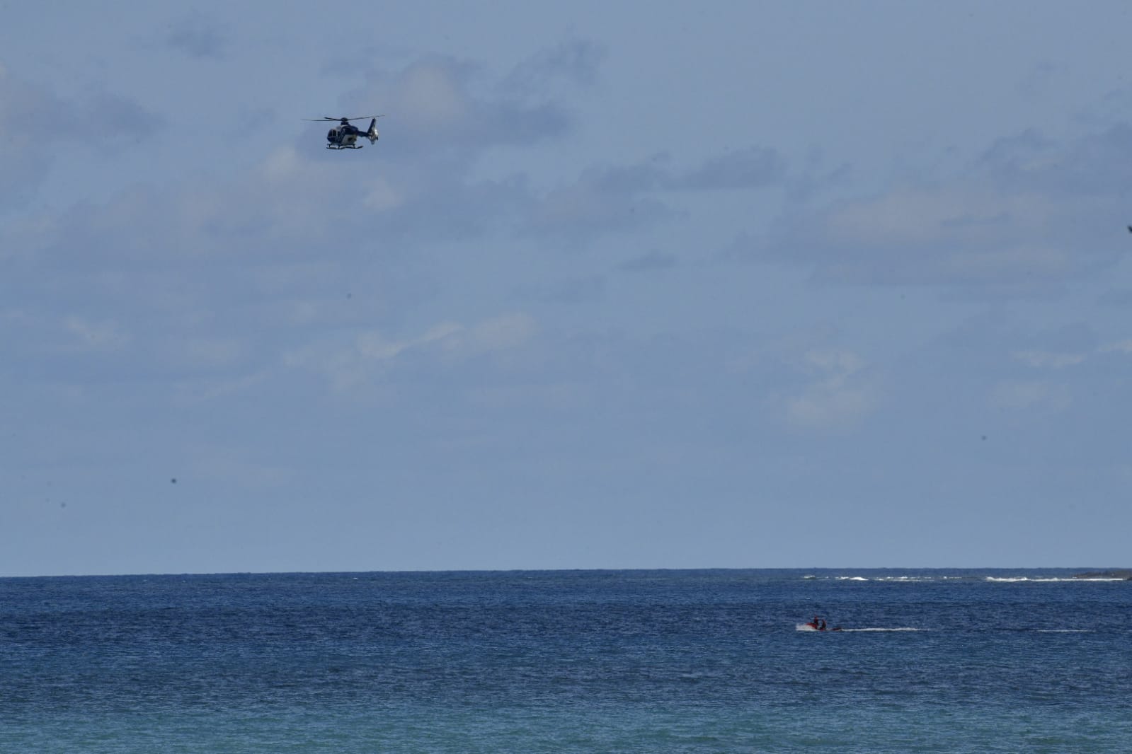 Fotos: Avistamiento de ballenas en la Cicer