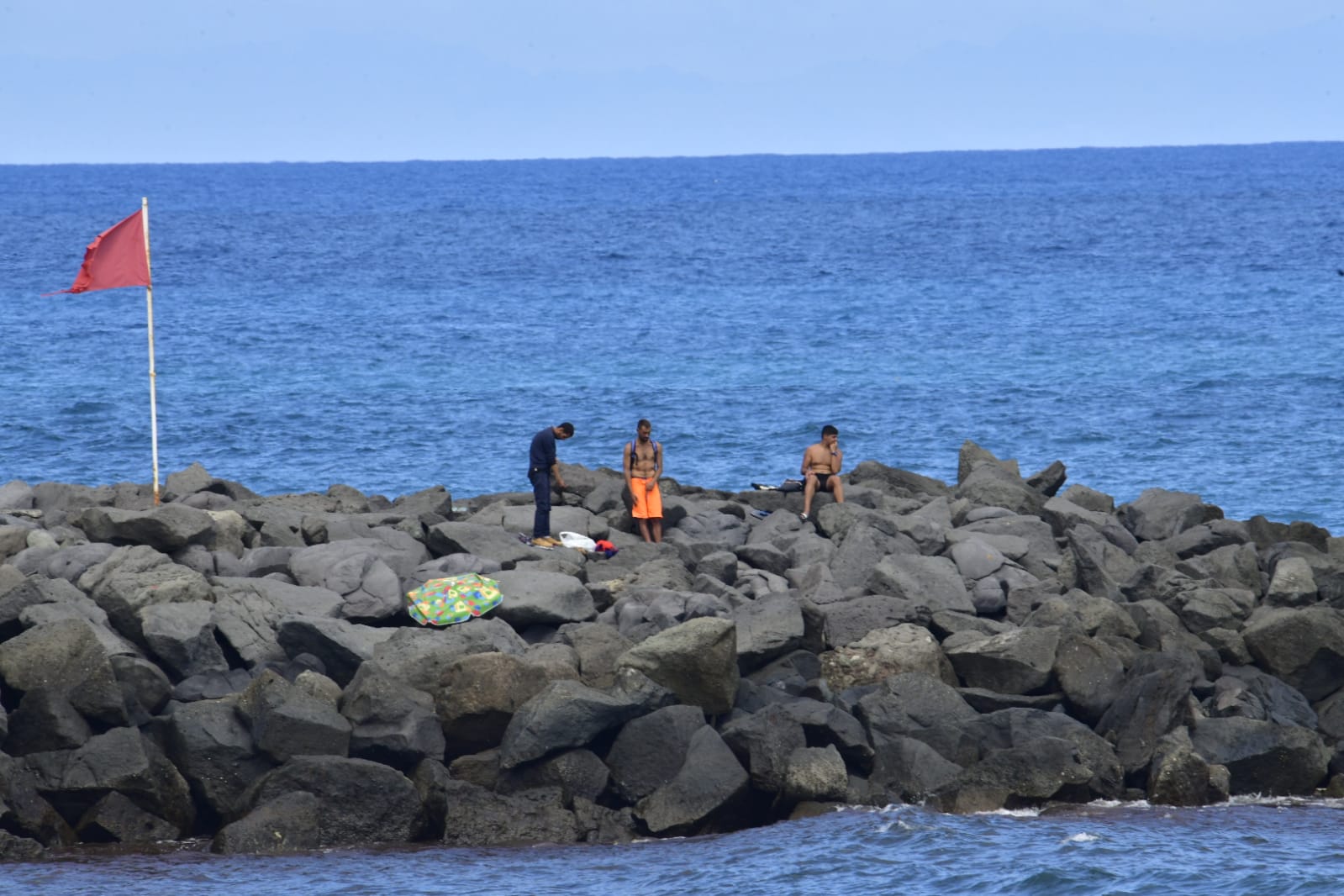 Fotos: Avistamiento de ballenas en la Cicer