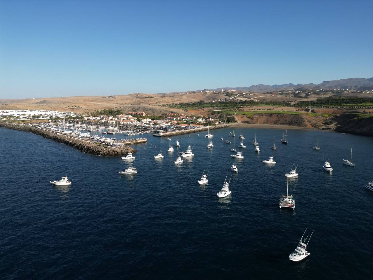 Imagen secundaria 1 - &#039;El Pirata&#039; de Brian González se impone en el Open Internacional Pesca de Altura Gran Canaria