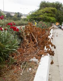 Imagen secundaria 2 - Los residentes denuncian falta de mantenimiento. 