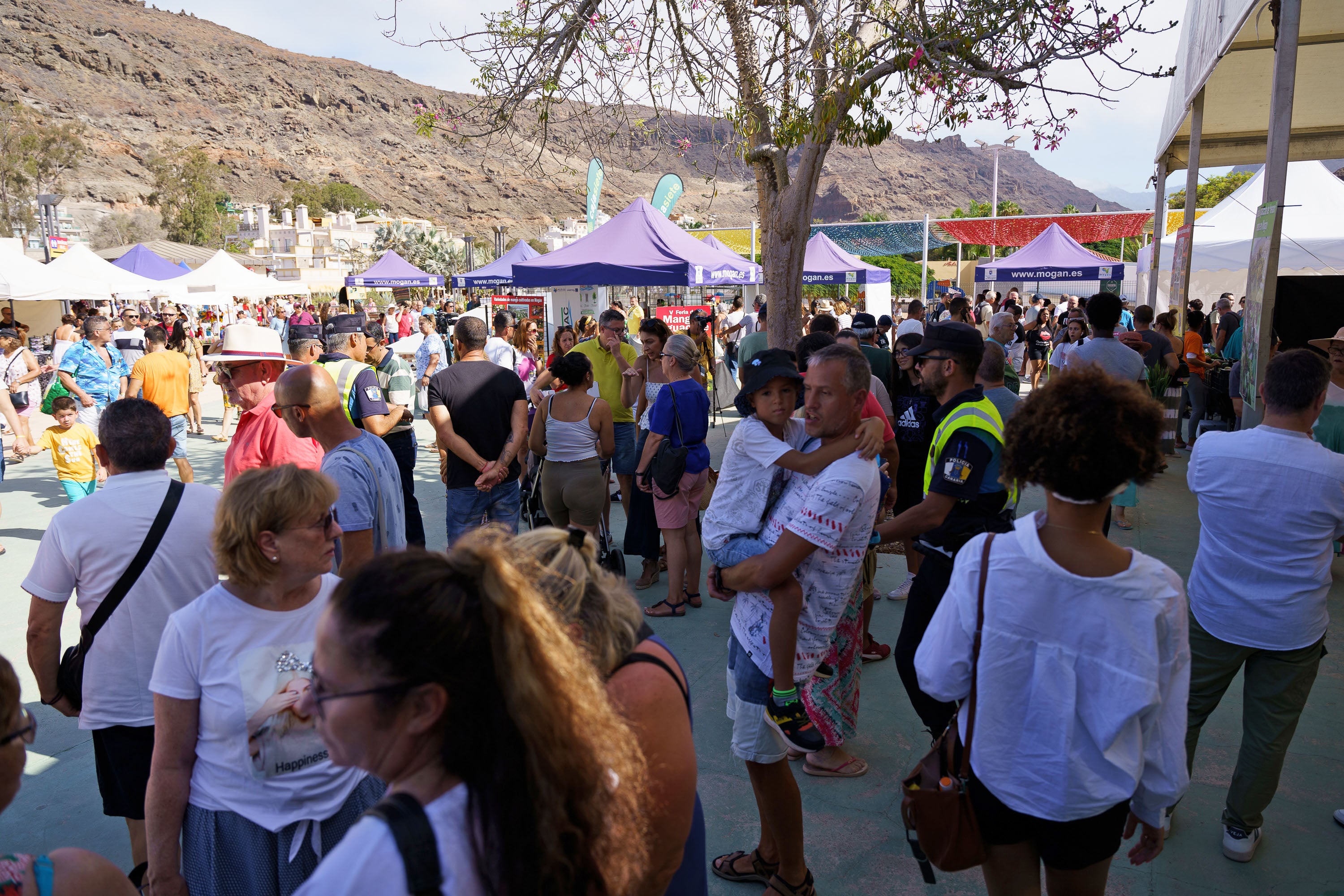 Fotos: Mogán celebra la V edición Feria del Mango y Aguacate de Verano