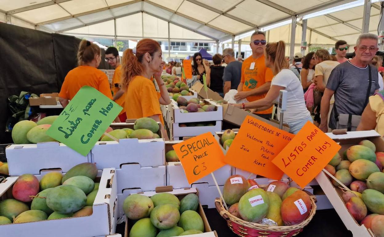 La Feria del Mango y Aguacate de Verano de Mogán volvió a celebrarse tras dos años. 