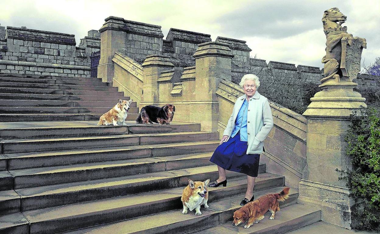 La reina, posando en 2016 con sus perros en una de las escaleras del castillo de Windsor.