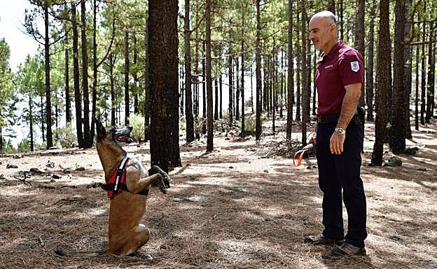 El adiestramiento y la obediencia de las perras que desenvenenan la isla es notable. 