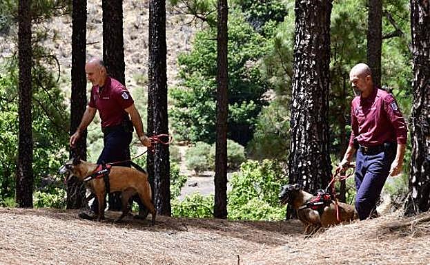 Tufia y Tirma, de izquierda a derecha, con sus respectivos cuidadores y entre pinares. 