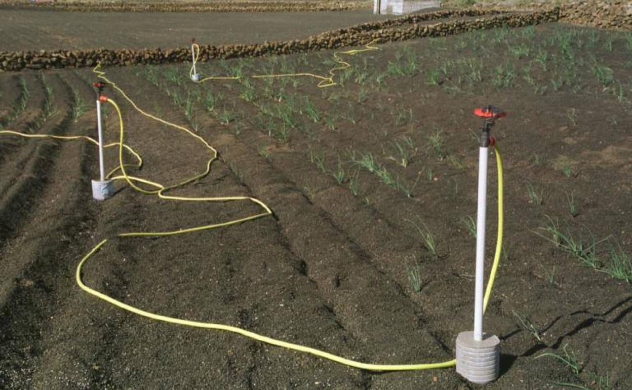 Imagen de archivo de sistemas de riego.