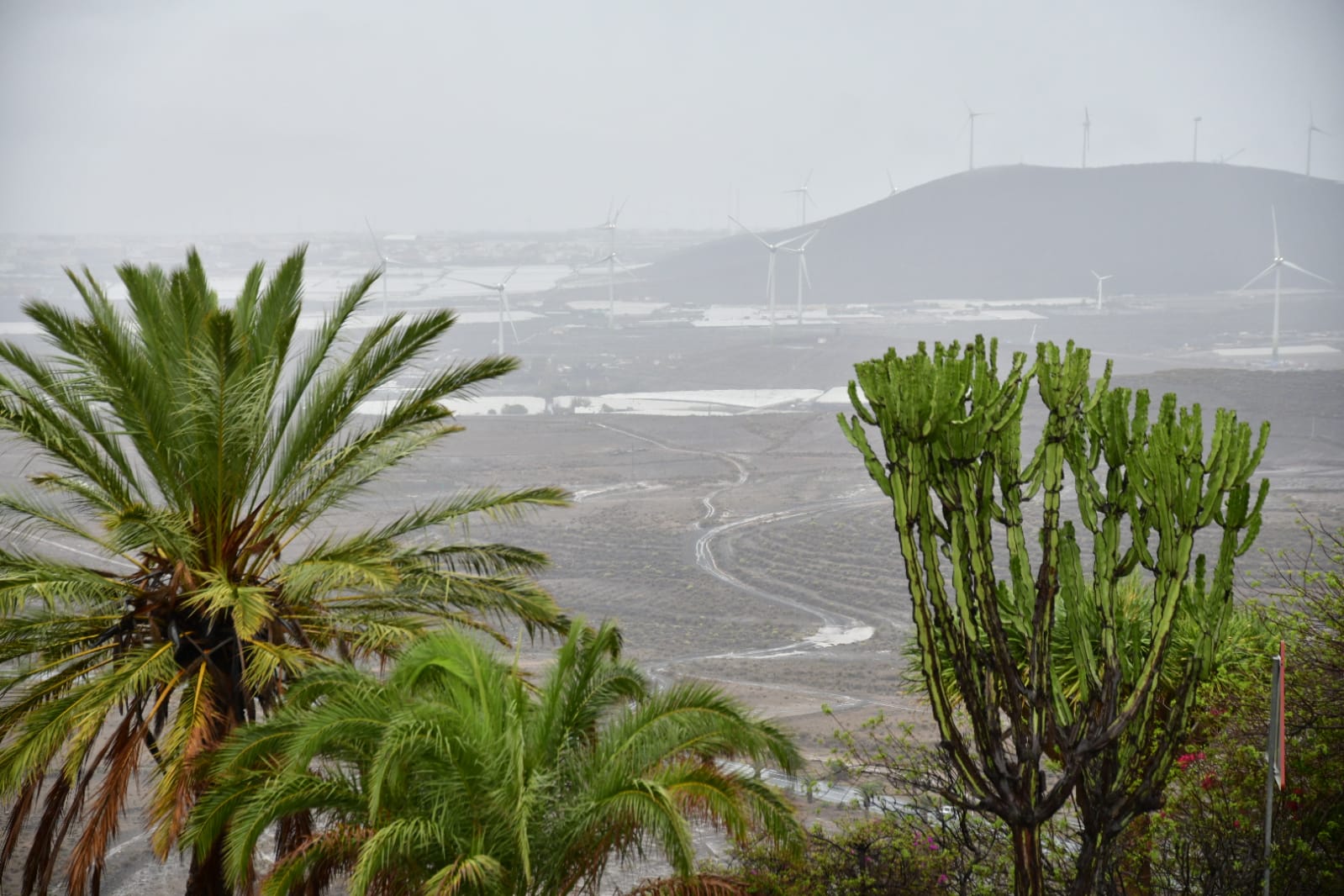 Fotos: Así descarga la lluvia en el sureste de Gran Canaria
