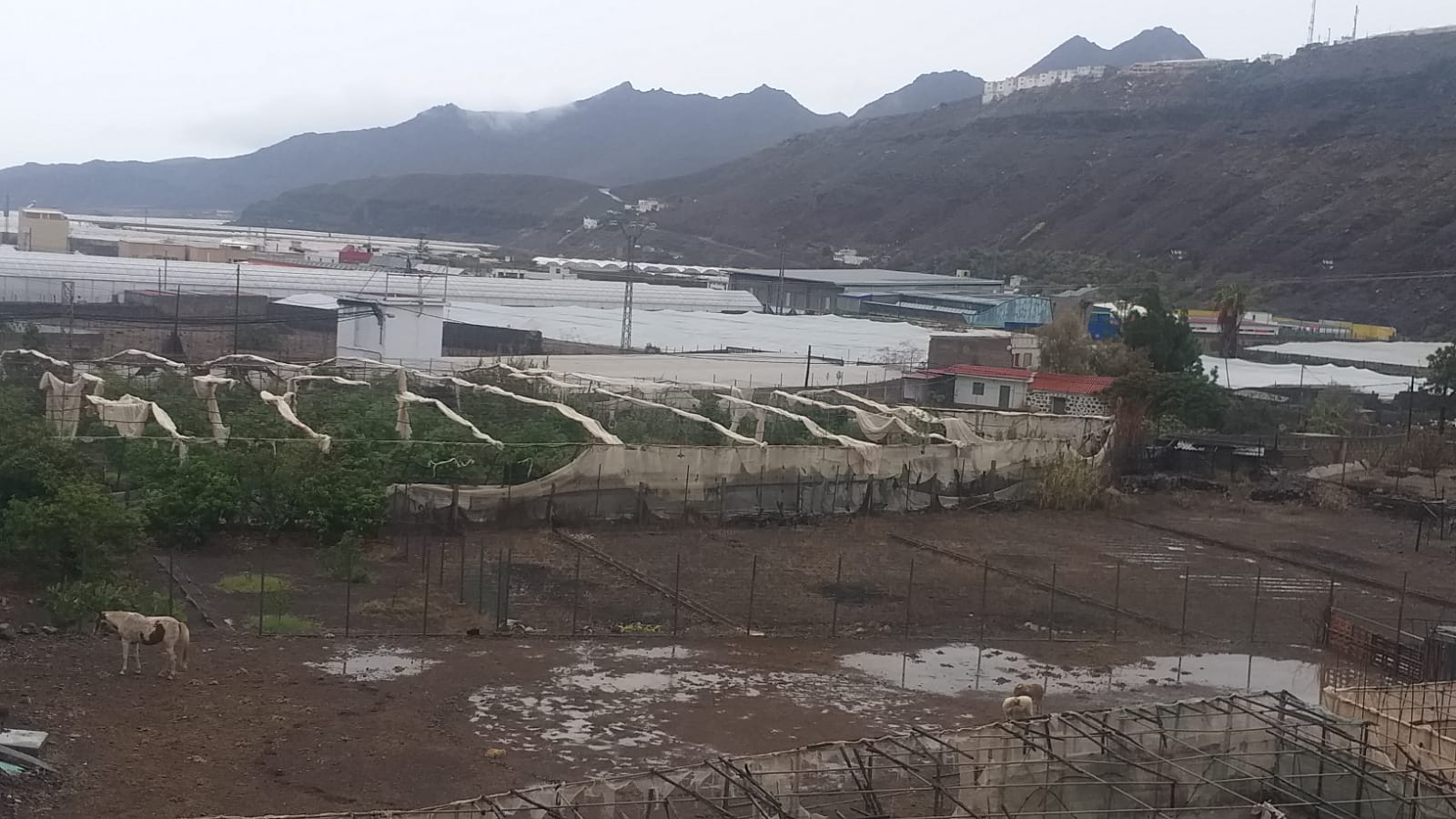 Campo anegado de agua en La Aldea