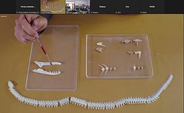 Fotograma de 'Las espinas también cuenta historias'. 