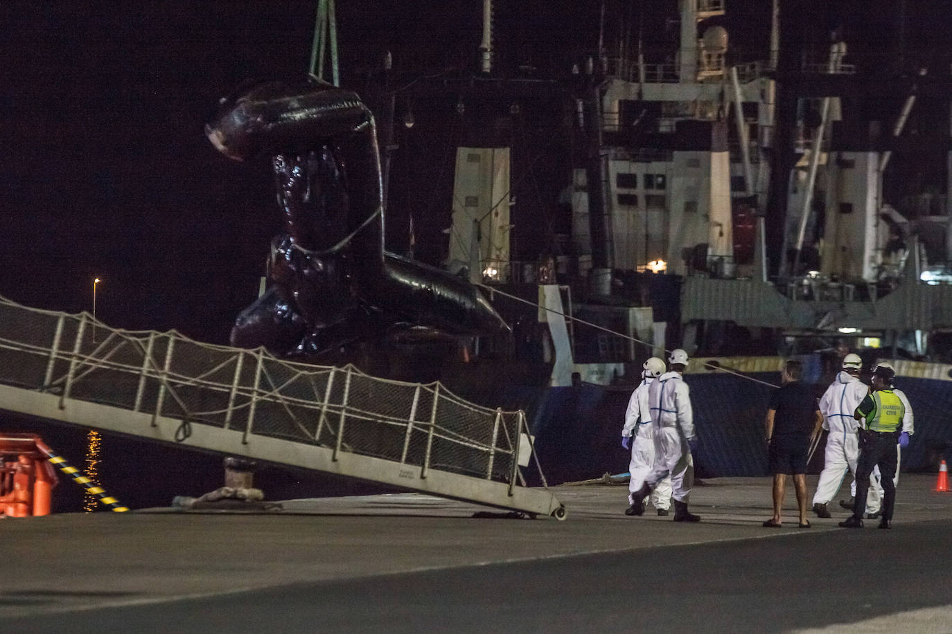 Imagen del momento en el que el buque de Salvamento Marítimo traslada al puerto de Las Palmas de Gran Canaria los cuatro cadáveres.