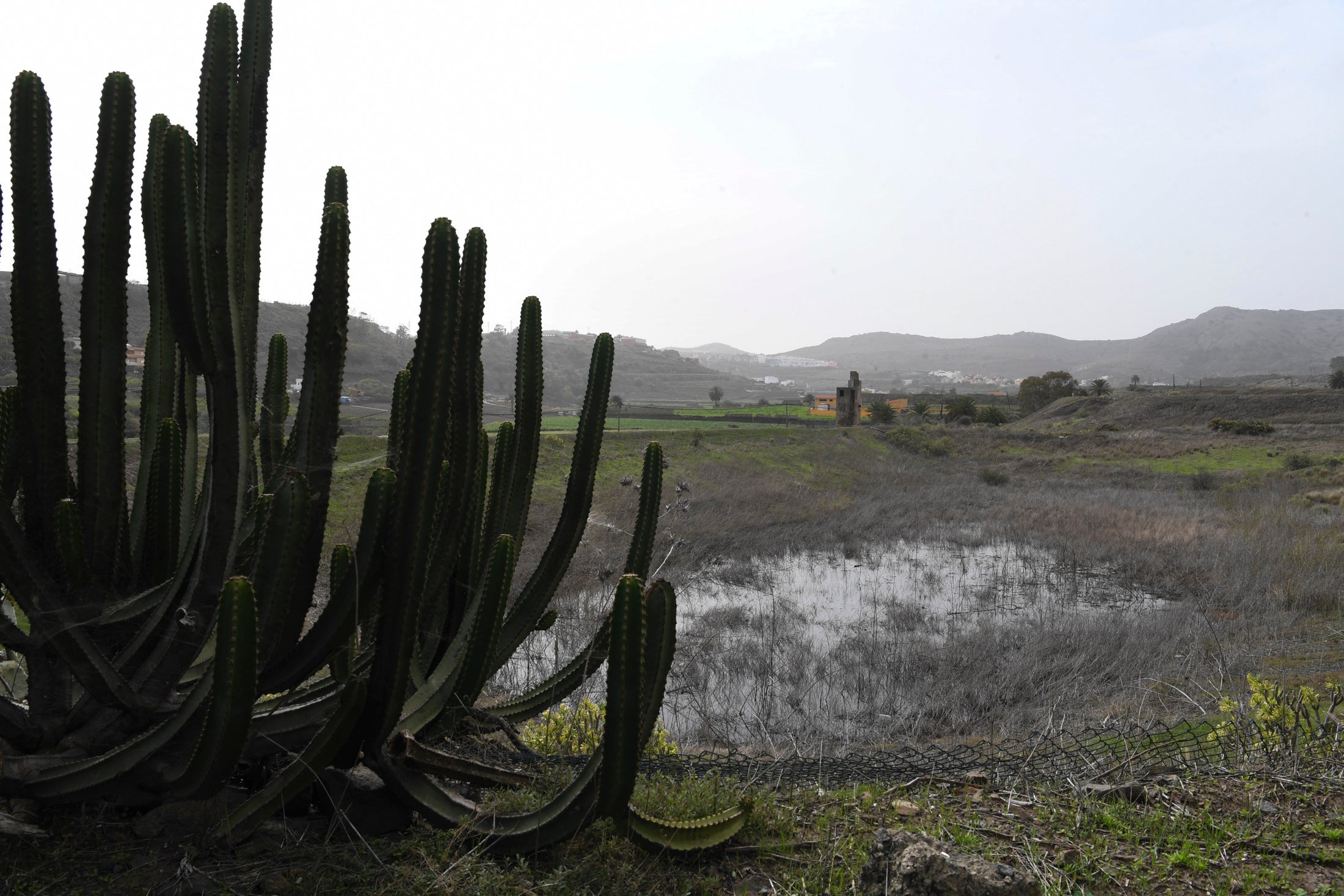 Fotos: Los ecologistas paran los vertidos en Riquianez