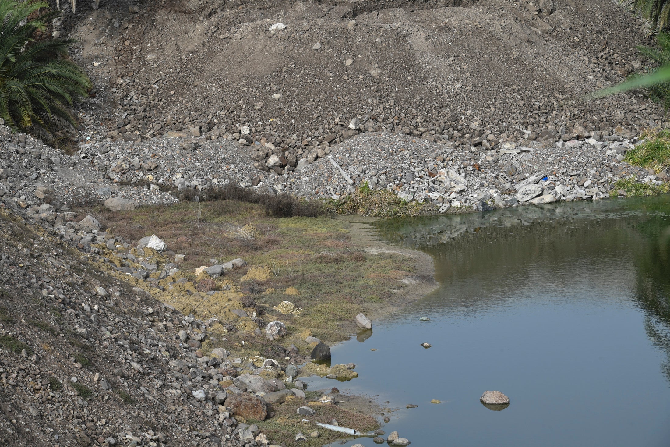 Fotos: Los ecologistas paran los vertidos en Riquianez