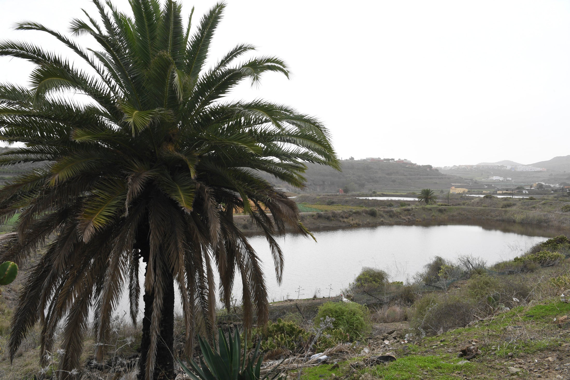 Fotos: Los ecologistas paran los vertidos en Riquianez