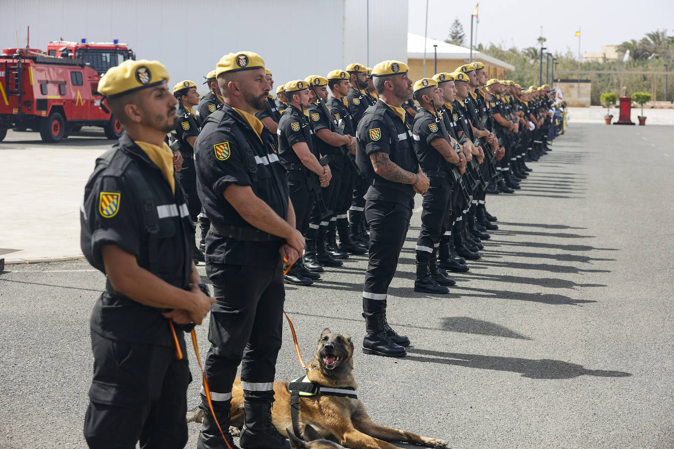 Fotos: Desfile de la UME por la festividad de Nuestra Señora del Rosario, su patrona