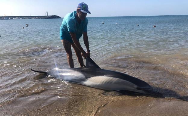 El centro de fauna silvestre dio instrucciones para mantener al animal con vida, pero no fue posible. 