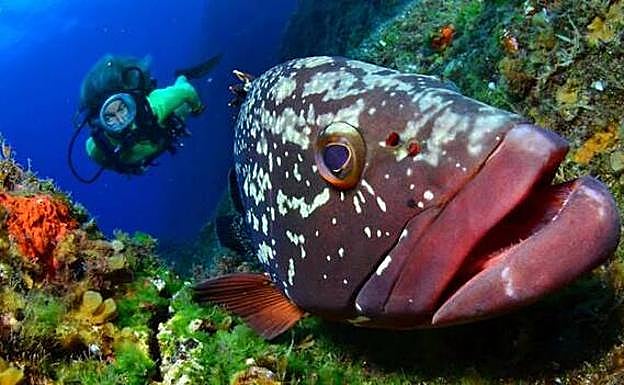 Una de las fotos ganadoras en 2012, Arturo Telle. 