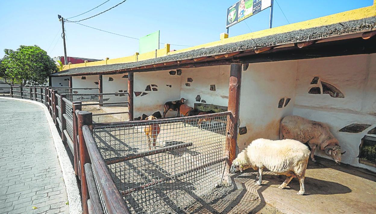 Imagen del interior del parque temático de Los Olivos. 