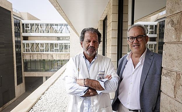 Jesús Benítez (i), jefe de Servicio de Otorrinolaringología del Hospital Doctor Negrín, y Ángel Ramos, su homólogo en el Materno Insular. 