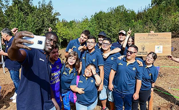 Imagen principal - El &#039;bosque Granca&#039; empieza a florecer