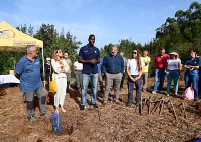 Imagen secundaria 1 - El &#039;bosque Granca&#039; empieza a florecer