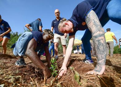 Imagen secundaria 1 - El &#039;bosque Granca&#039; empieza a florecer