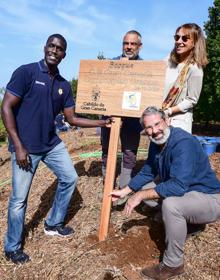 Imagen secundaria 2 - El &#039;bosque Granca&#039; empieza a florecer