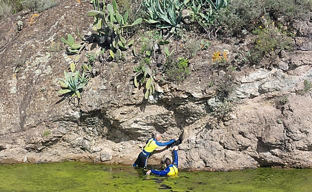 Imagen del momento del rescate. 