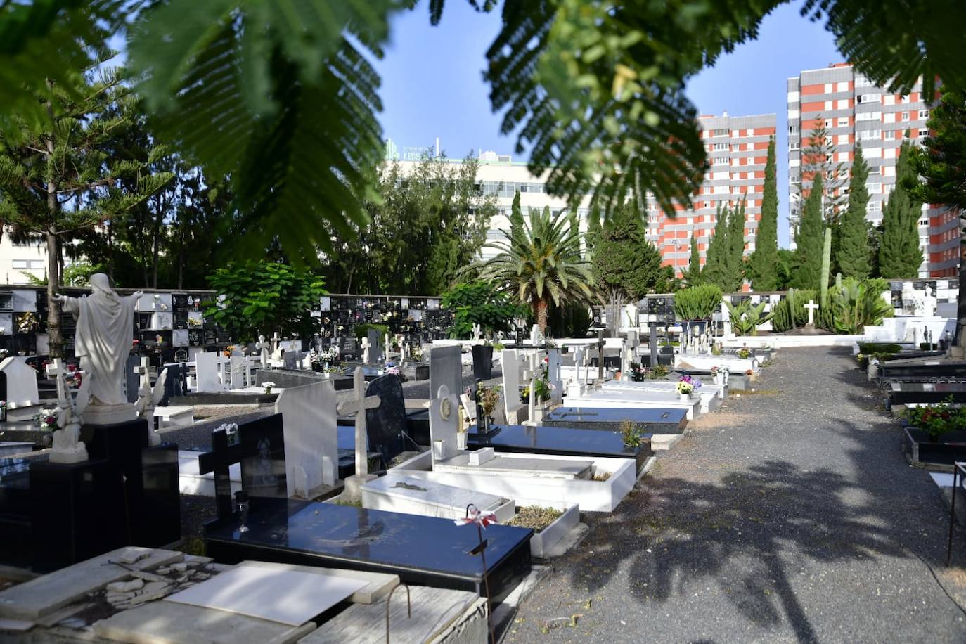 Fotos: Las flores se adueñan de los cementerios