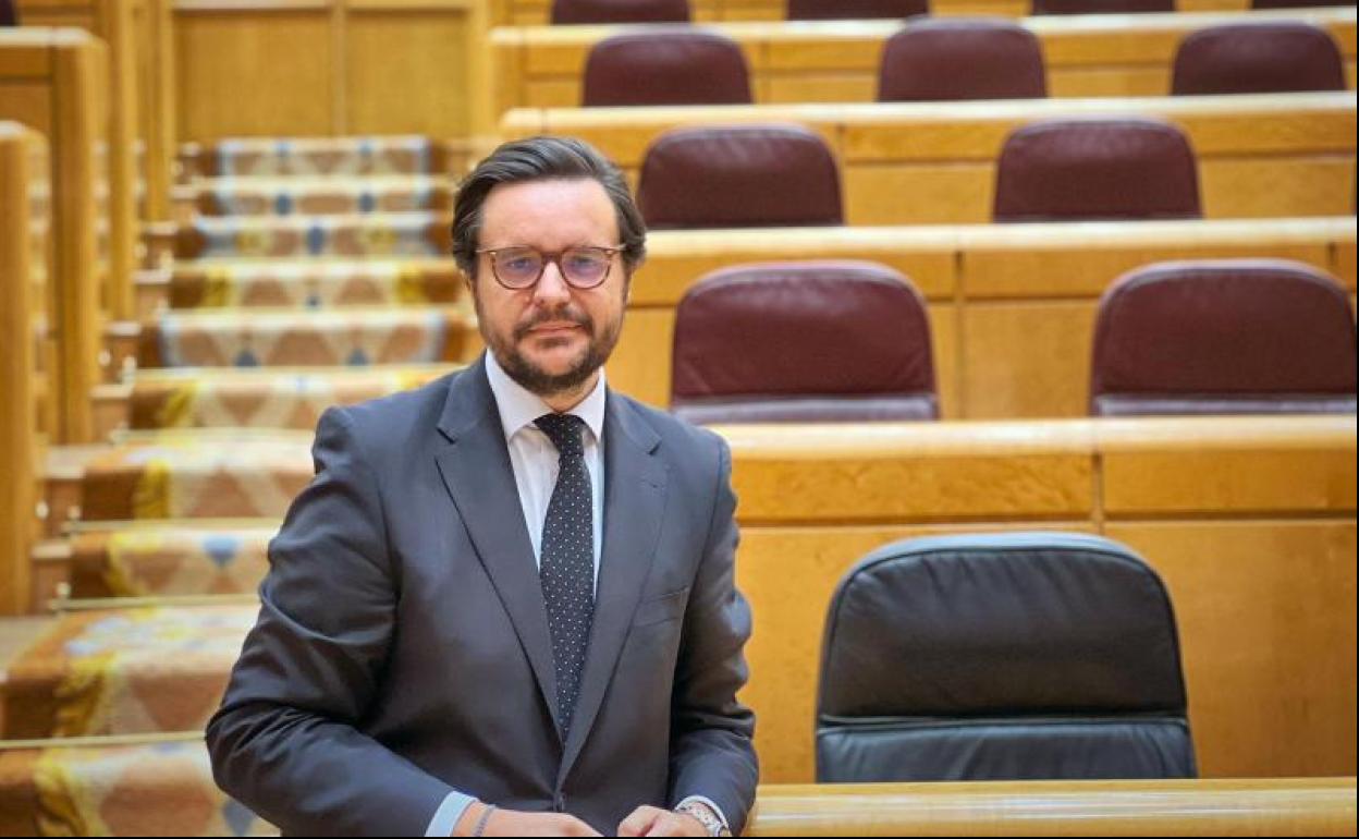 El senador del PP por Gran Canaria, Sergio Ramos, en el hemiciclo de la Cámara Alta.. 