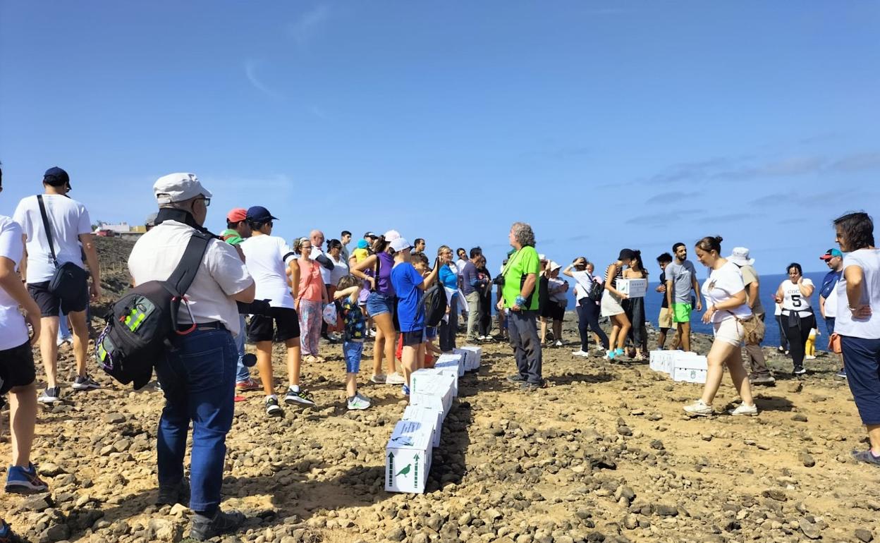 Imagen de la acción medioambiental llevada cabo en Arucas. 