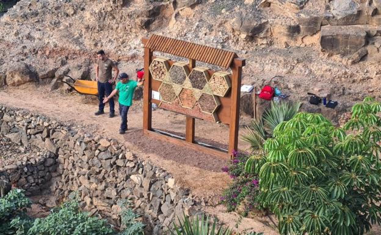 Dos alumnos del PFAE La Jara, con el hotel de insectos instalado en barranco Pilón. 