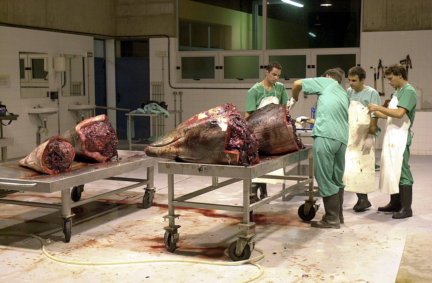 Fotos: Toda una trayectoria en 46 fotografías