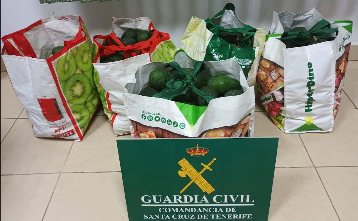 Dos detenidos por el robo de 83 kilos de aguacates en una finca de Güímar