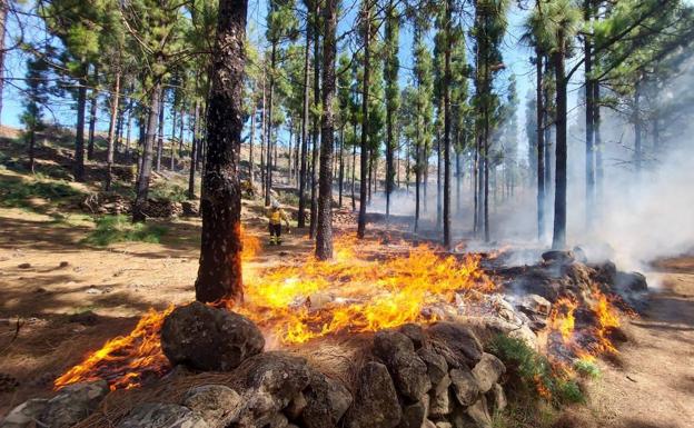 El fuego técnico acaba con el combustible forestal antes de que llegue el incendio a la zona quemada. 