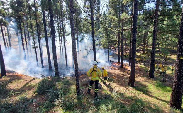 Operarios de los equipos Presa enseñan a usar el fuego técnico para combatir los incendios forestales. 