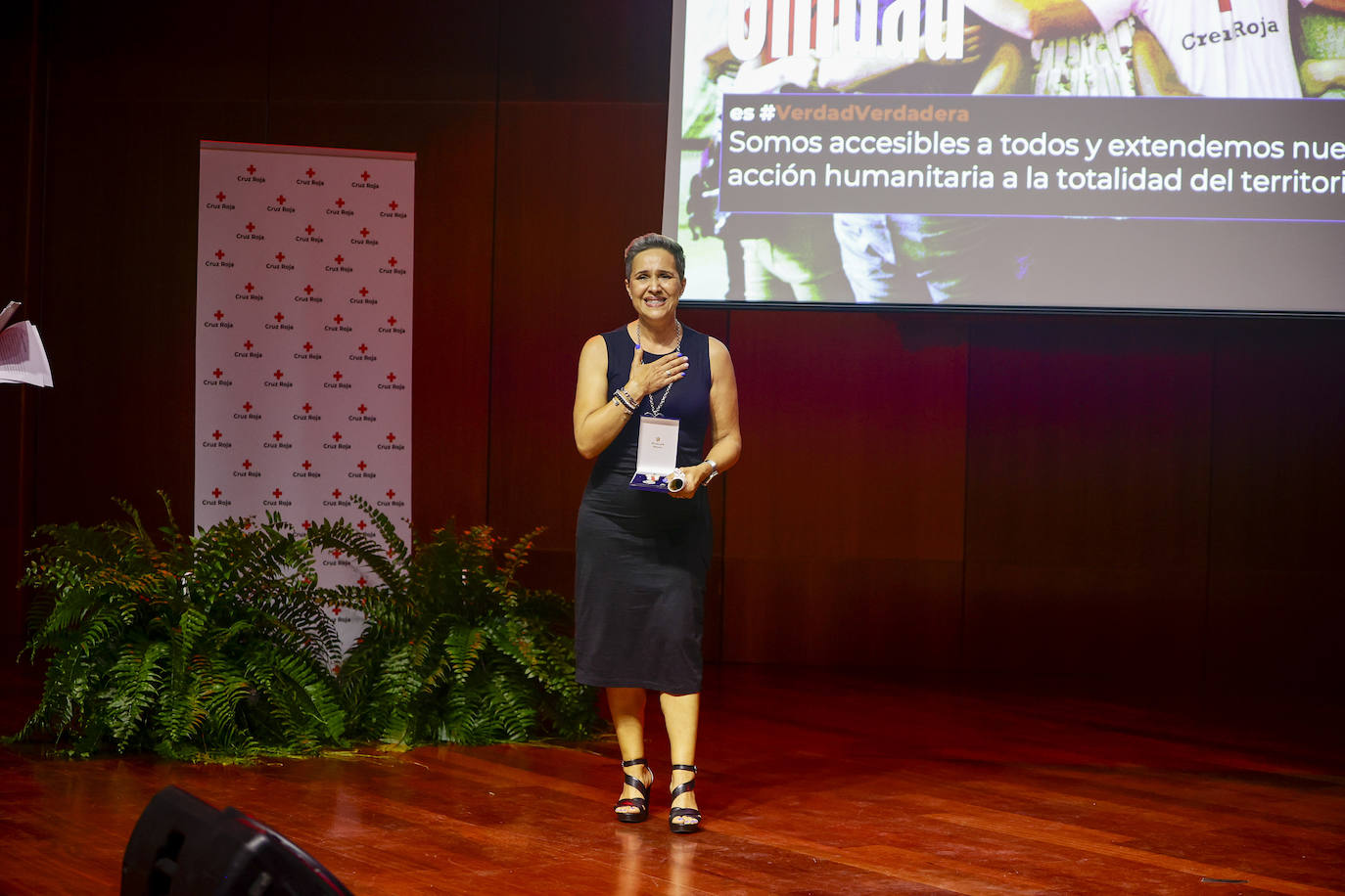 Fotos: Entrega de distinciones Cruz Roja 2022