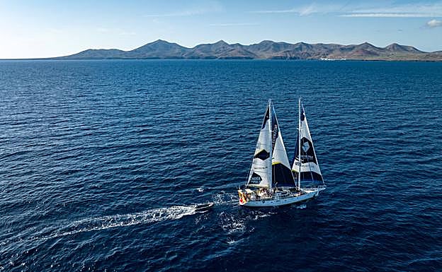 El buque científico 'Why' recorre el mundo estudiando los bosques marinos animales con el proyecto Deep Live. 