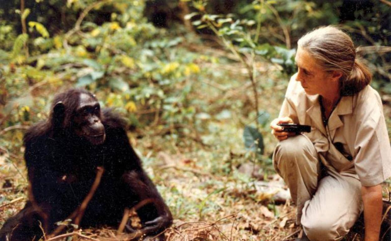 La activista Jane Goodall apoya una campaña para prohibir las granjas de pulpos