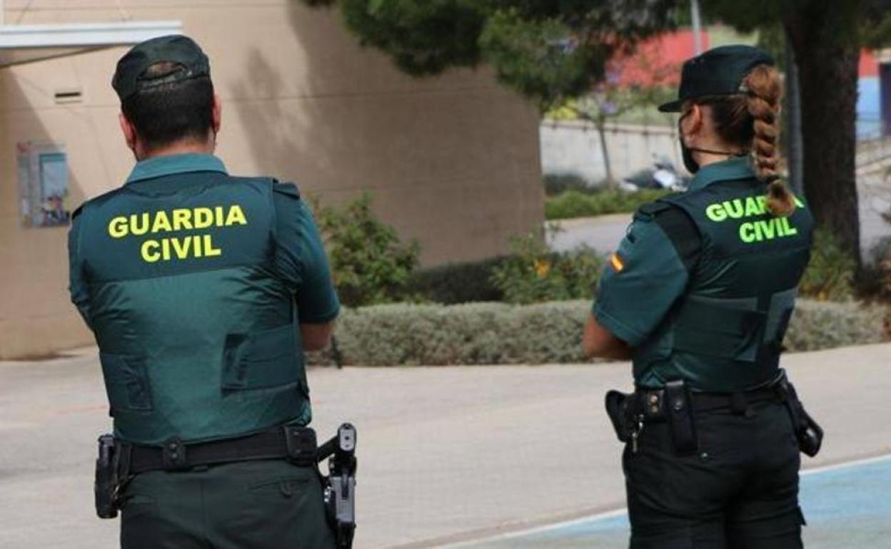 Investigan a un hombre tras hallar un perro muerto en su vivienda en Tenerife