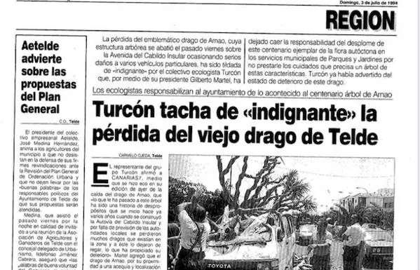 Página de Canarias7 de 1994 con la reacción de Turcón a la caída del drago. 